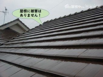 岸和田市の屋根に被害はありません!