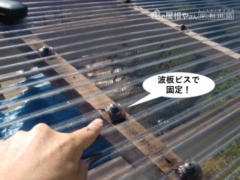 岸和田市の波板を波板ビスで固定