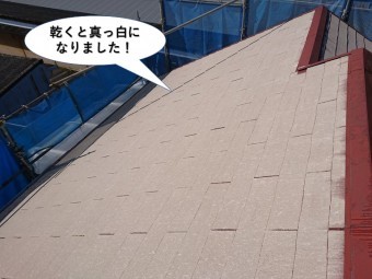 阪南市の屋根洗浄後乾くと真っ白になりました!