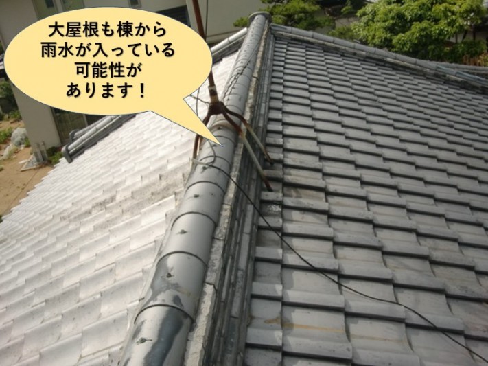 岸和田市の大屋根も棟から雨水が入っている可能性があります!
