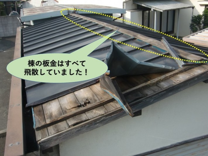 泉北郡忠岡町の棟の板金はすべて飛散していました