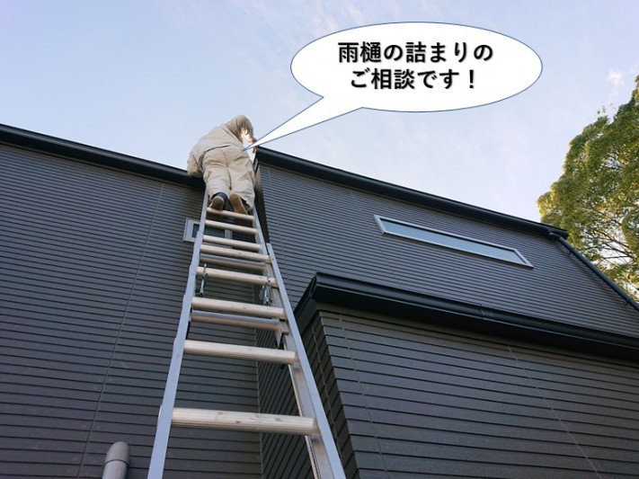 岸和田市多治米町の雨樋の詰まりを解消しボタボタ音も解消されたお客様の声