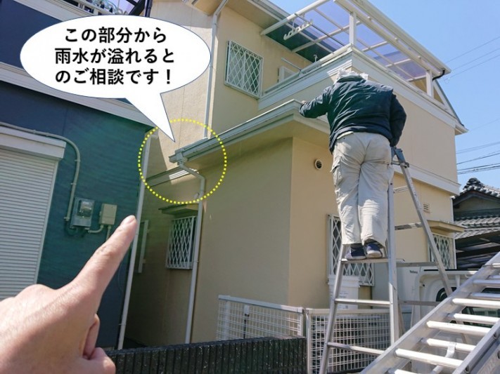 和泉市の雨樋の詰まりのご相談