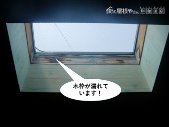 和泉市の天窓の木枠が濡れています