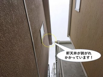 泉大津市の軒天井が剥がれかかっています