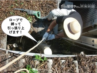 岸和田市の木の幹をロープで縛って引っ張り上げます