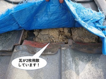 泉佐野市の瓦が2枚飛散しています