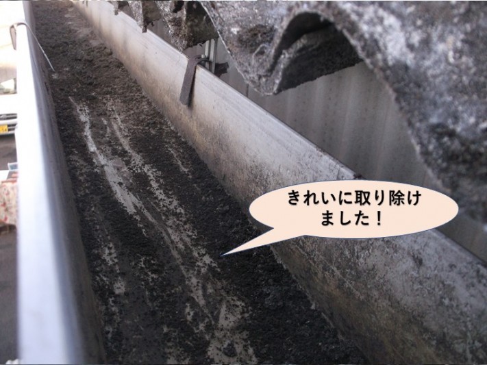 岸和田市の雨樋に詰まっていた雑草をき