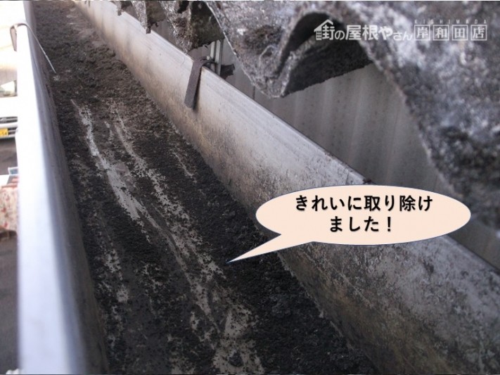 岸和田市の雨樋に詰まっていた雑草をき