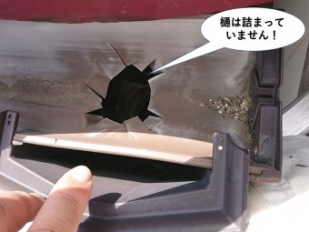 岸和田市の樋は詰まっていません!
