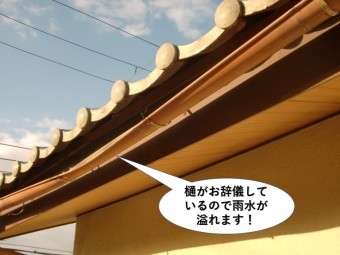 和泉市の樋がお辞儀しています