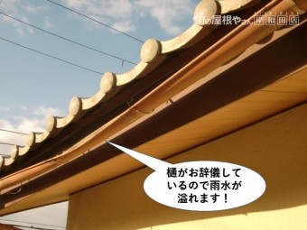 和泉市の樋がお辞儀しています
