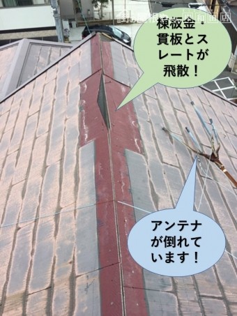 和泉市の棟板金などが飛散