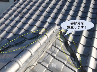 泉大津市の谷樋を調査します!