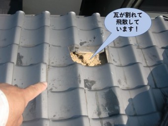泉大津市の下屋の瓦が割れて飛散しています!