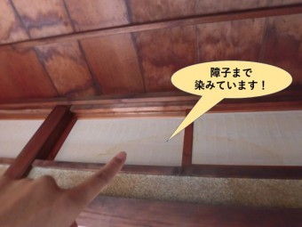 岸和田市西之内町の縁側の障子まで染みています!