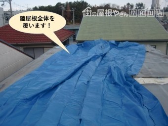 貝塚市の陸屋根全体を覆います