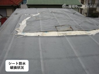 貝塚市の陸屋根のシート防水破損状況