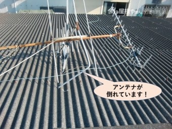 岸和田市の倉庫の屋根のアンテナが倒れています!