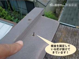 泉大津市の板金を固定している釘が抜けてきています