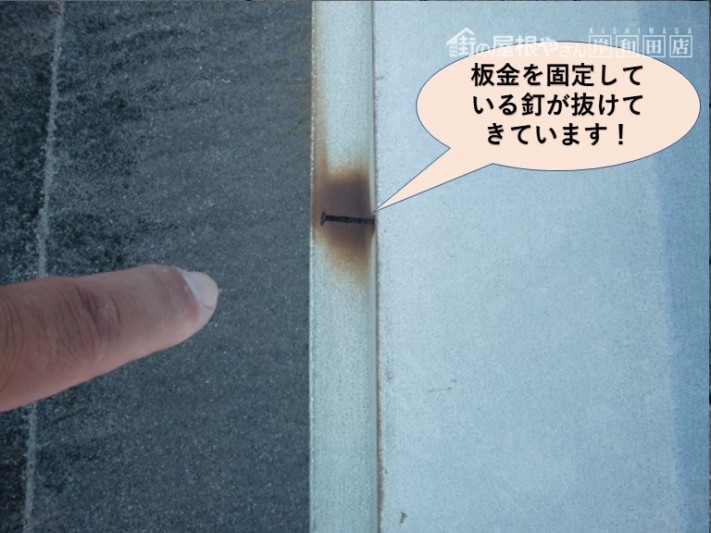 岸和田市の板金を固定している釘が抜けてきています