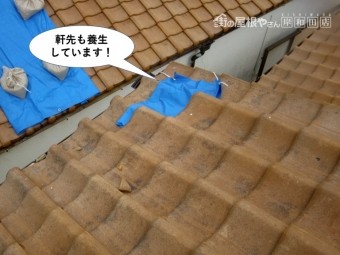 和泉市の屋根の軒先も養生しています