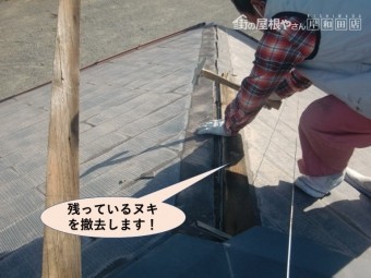 泉大津市の屋根の残っているヌキを撤去