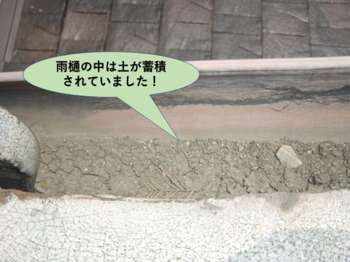 泉大津市の雨樋の中は土が蓄積!