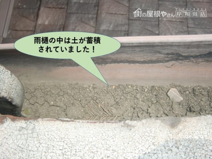 泉大津市の雨樋の中は土が蓄積!