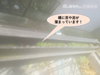 岸和田市のテラス屋根の樋に苔や泥が溜まっています