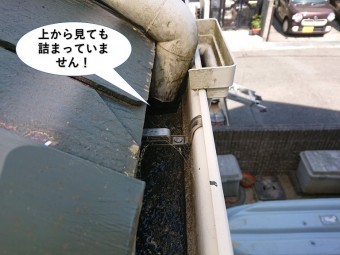 和泉市の雨樋を上から見ても詰まっていません