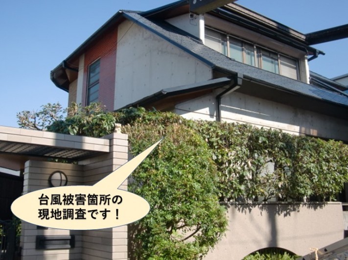 岸和田市の台風被害箇所の現地調査
