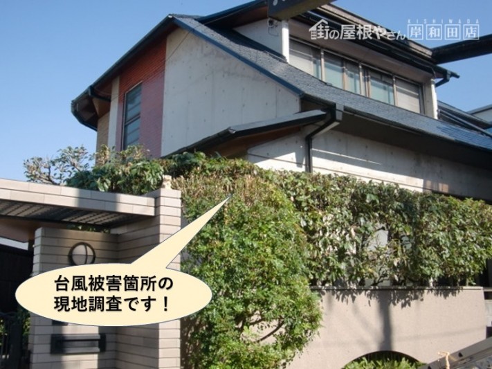 岸和田市の台風被害箇所の現地調査