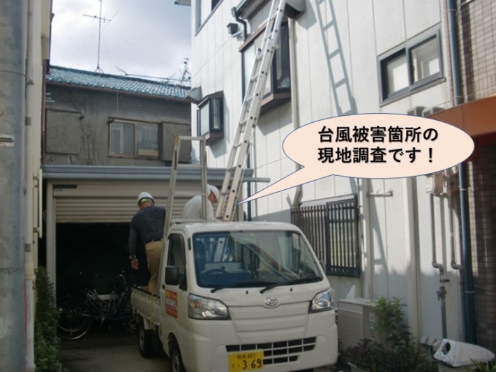 岸和田市の台風被害箇所の現地調査