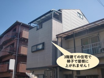 泉大津市の台風被害箇所の現地調査
