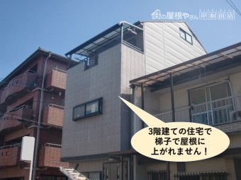 泉大津市の台風被害箇所の現地調査