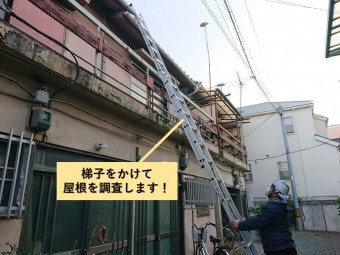 岸和田市で梯子をかけて屋根を調査します