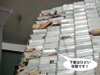 泉佐野市の下屋はひどい状態です