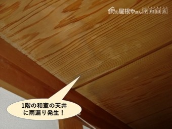 岸和田市の1階の和室の天井に雨漏り