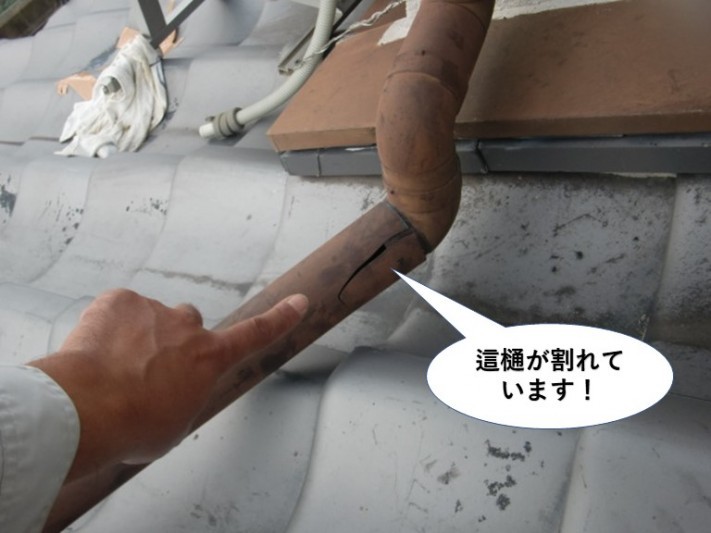 岸和田市の這樋が割れています