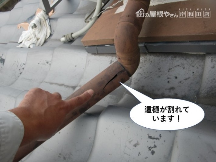 岸和田市の這樋が割れています