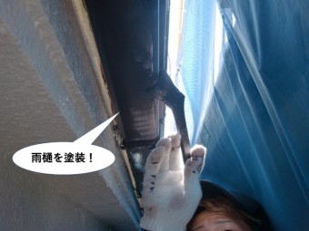 高石市の雨樋を塗装