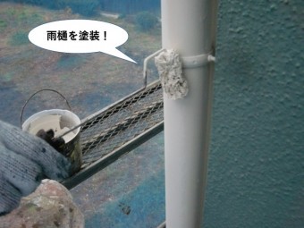 泉南市の雨樋を塗装