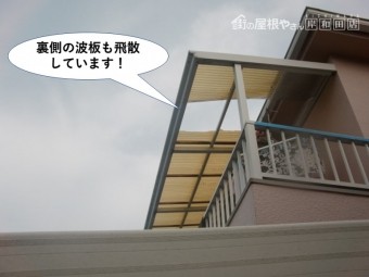 阪南市の裏の波板も飛散しています