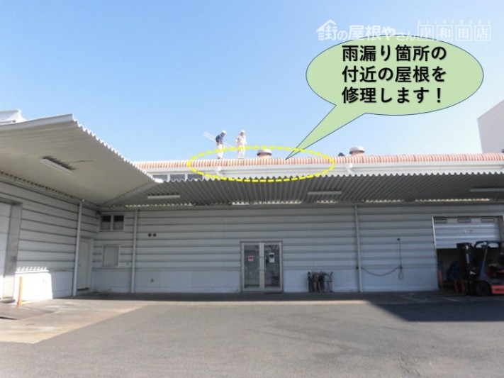 泉佐野市の工場の雨漏り箇所付近の屋根を修理します