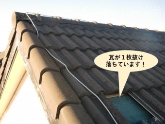 岸和田市の瓦が1枚抜け落ちています