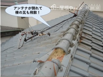 泉佐野市のアンテナが倒れて棟の瓦が飛散