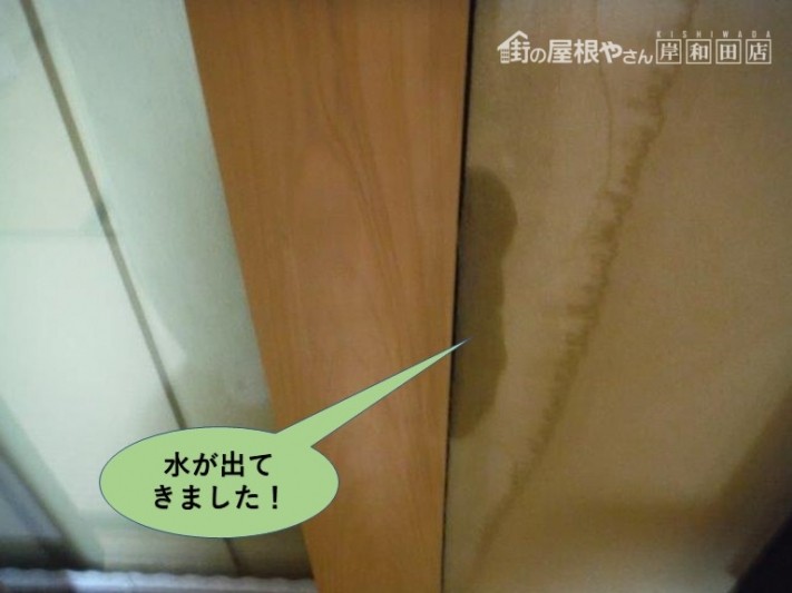 岸和田市の和室の柱の横から水が出てきました!