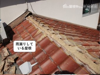 岸和田市の雨漏りしている屋根