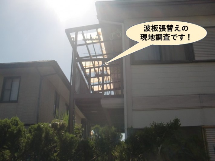 泉南郡熊取町の波板張替えの現地調査